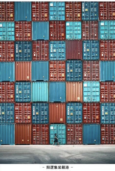 武漢國際貨運(yùn)代理 進(jìn)出口貿(mào)易與互聯(lián)網(wǎng)銷售的全方位物流解決方案